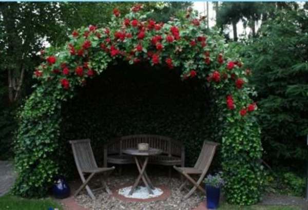 Arch made of Cumberland raspberries by shaping the top